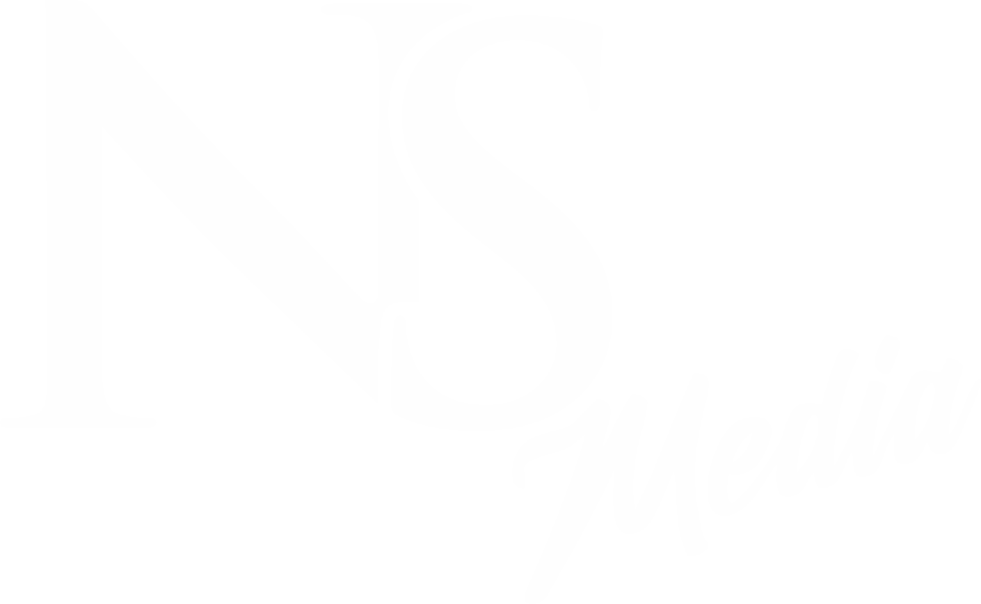 NS Media Logo